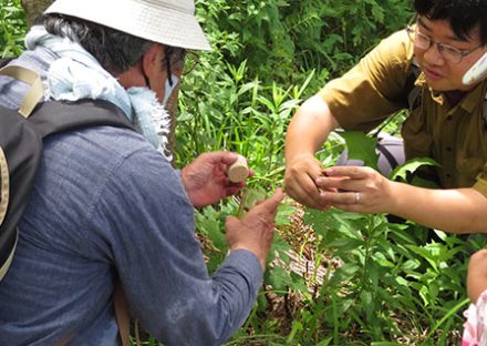 『縄文遺跡で昆虫採集！』を開催しました